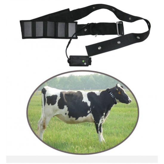 Solárny GPS tracker pre kone, dobytok a iné zvieratá veľkého telesného rámca